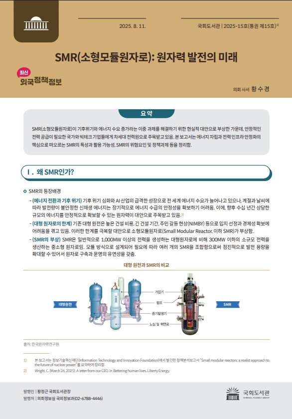SMR(소형모듈원자로) : 원자력 발전의 미래